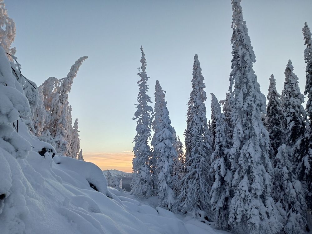 Photograph by Алина Азева