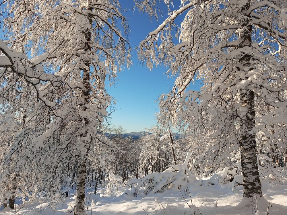 Photograph by Алина Азева