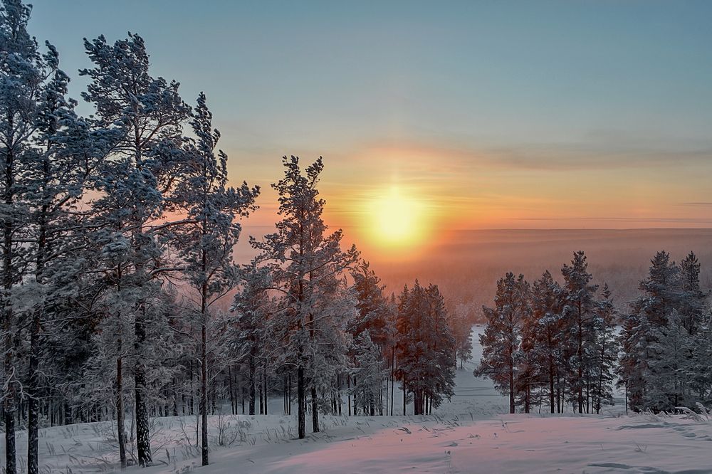 Photograph by Александр Шипиленко