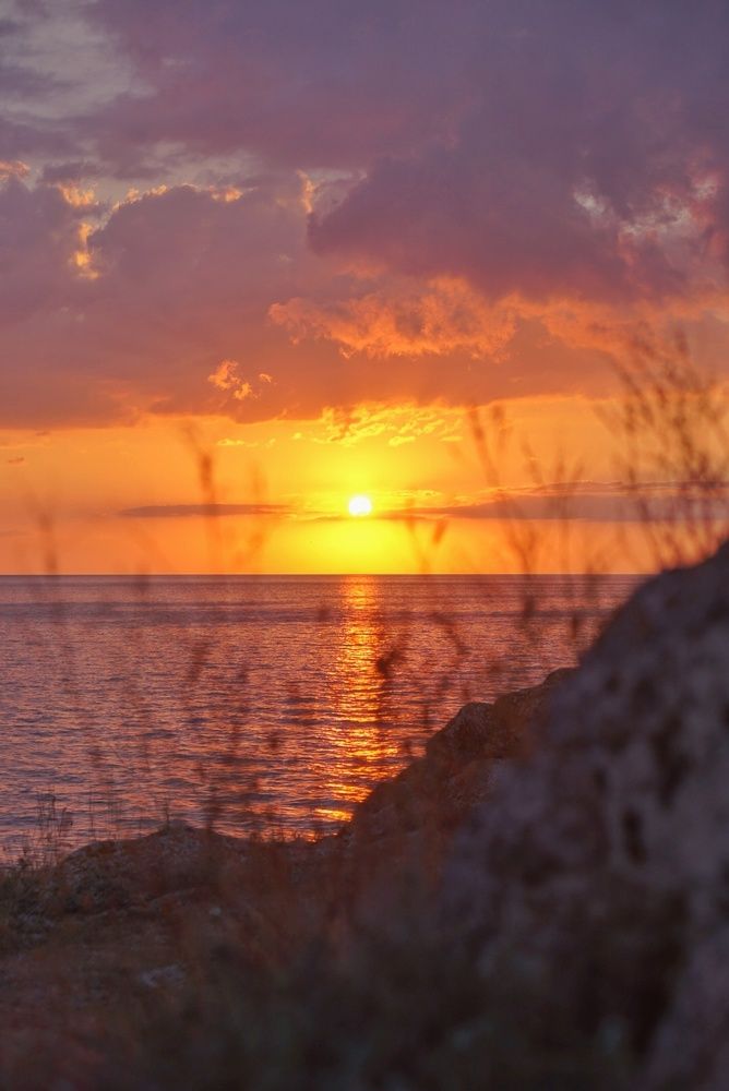 Photograph by Алла Черникова