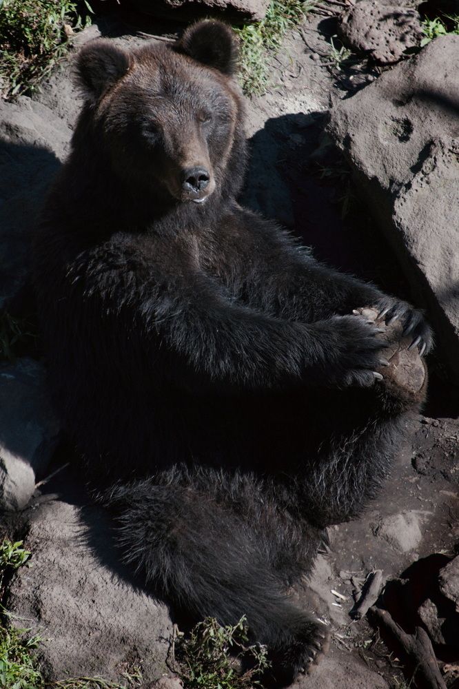 Photograph by Елена Ласун