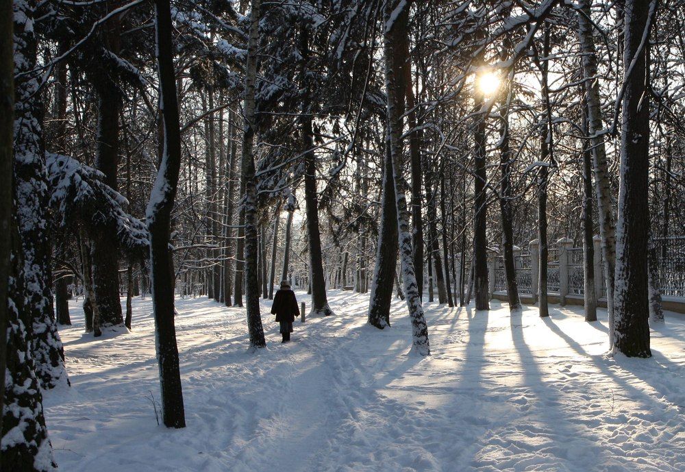 Photograph by Наталья Задерновская