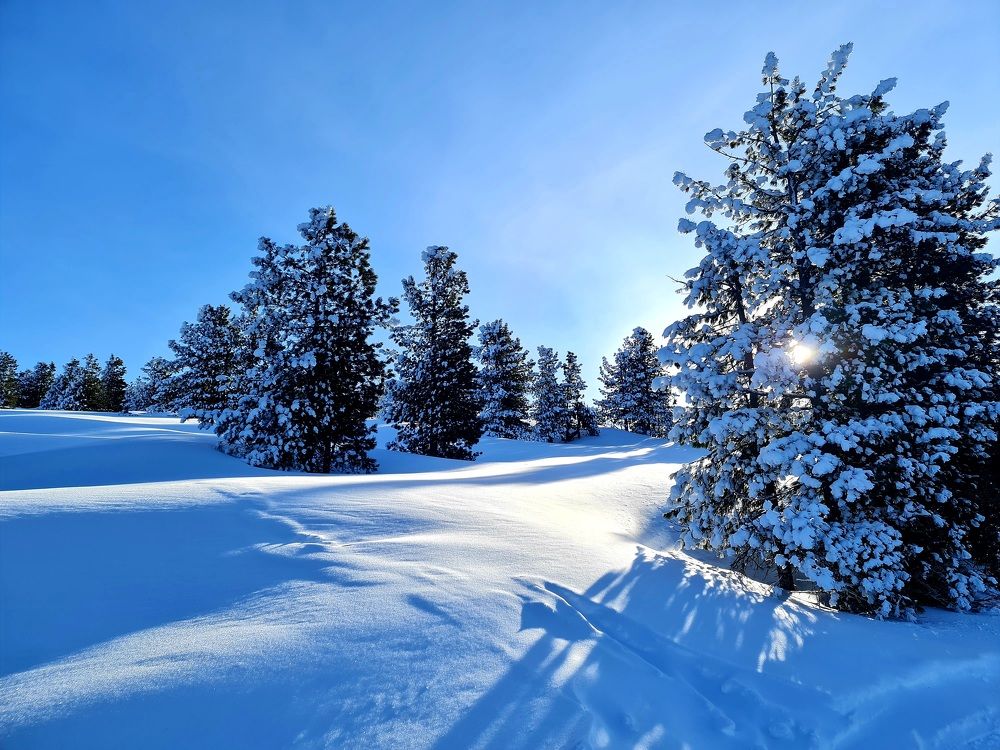 Photograph by Алексей Миронов