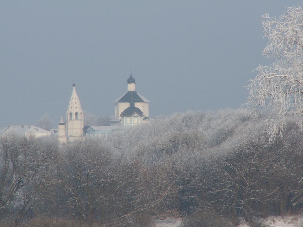 Photo #8481223