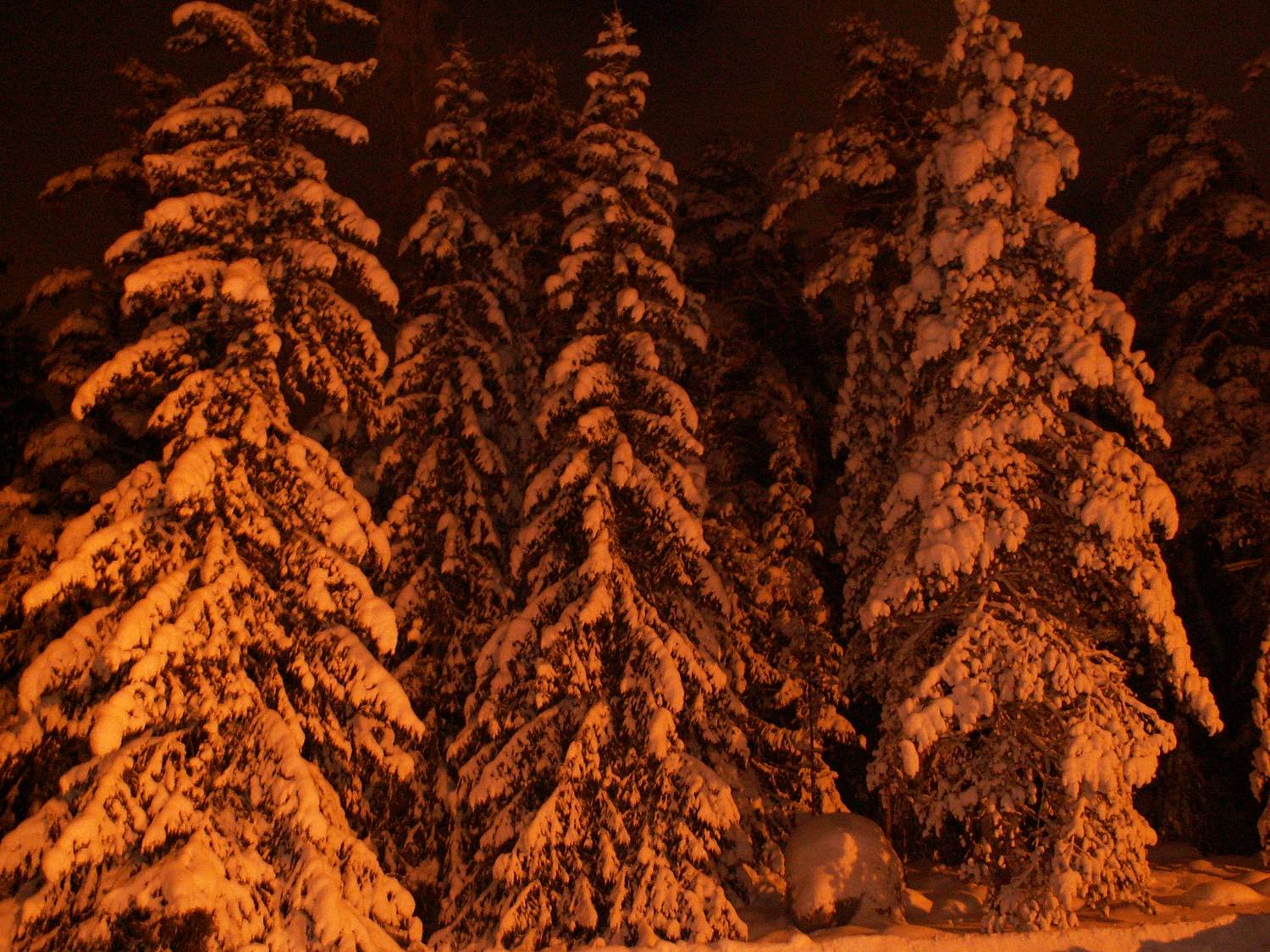 Photo #8481239