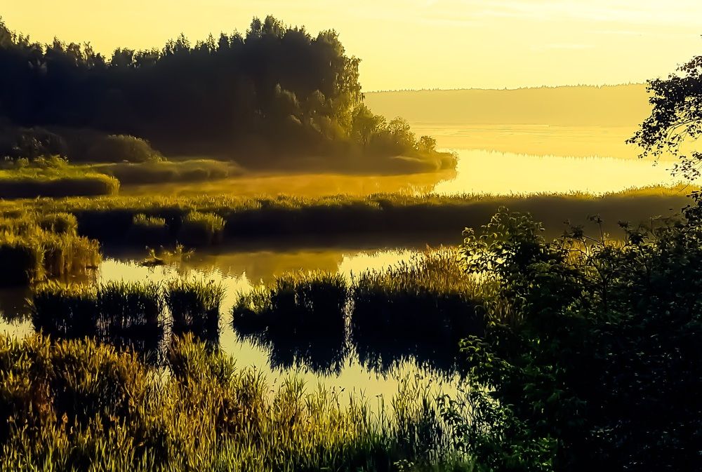 Photograph by Алексей Рыбачков