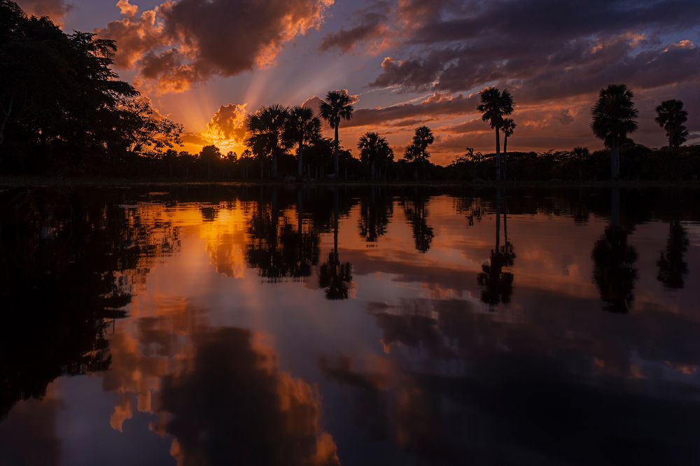 Photograph by Enrique