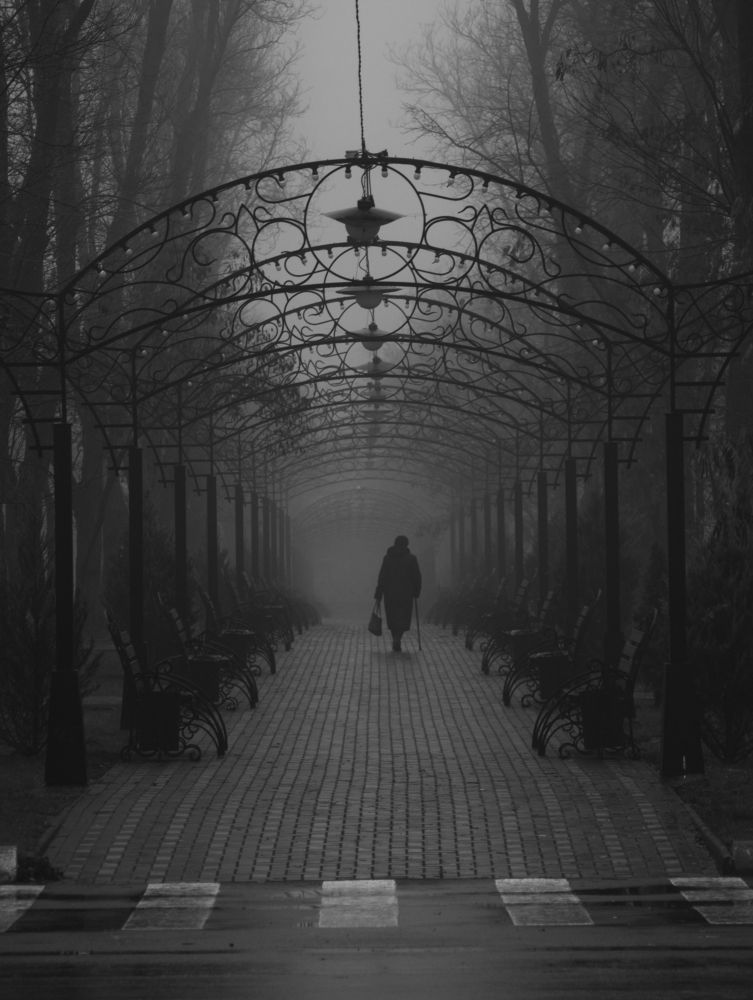 Photograph by Константин Цыкалюк