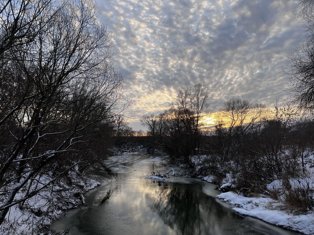 Photograph by Алиса Чечина