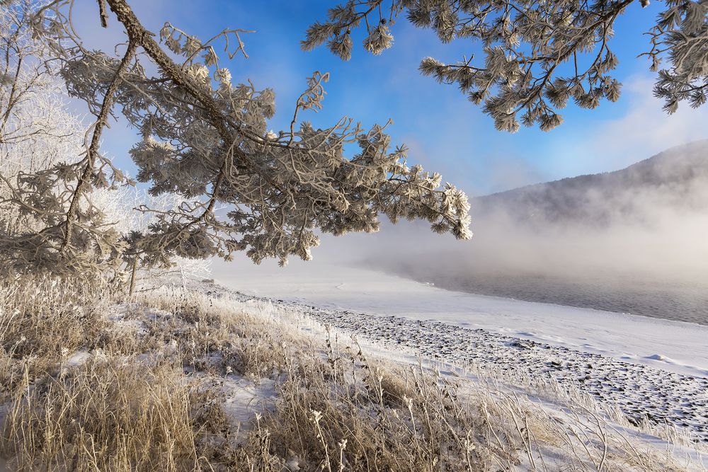 Photograph by Дроздова Наталья