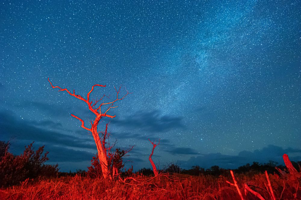 Photograph by Enrique