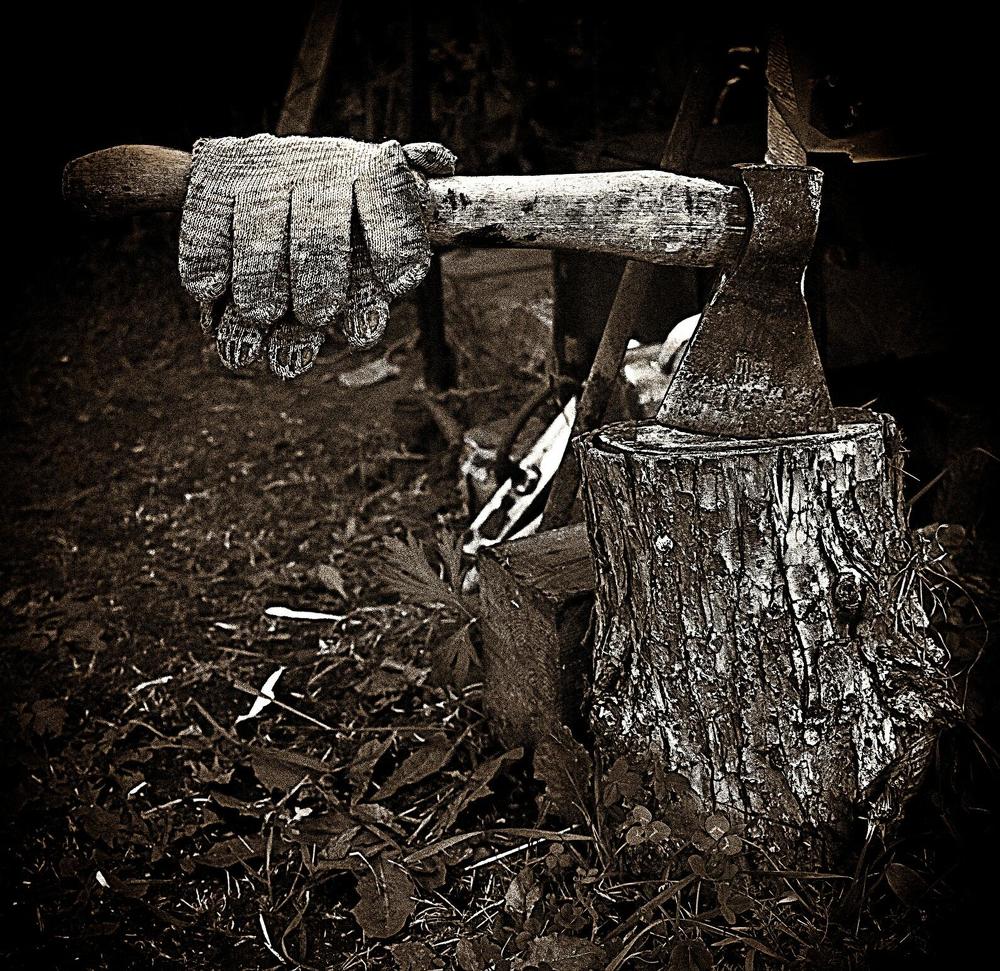 Photograph by Елена Ласун