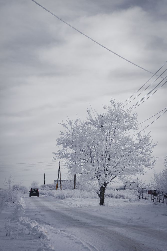 Photograph by Максим Пономарев