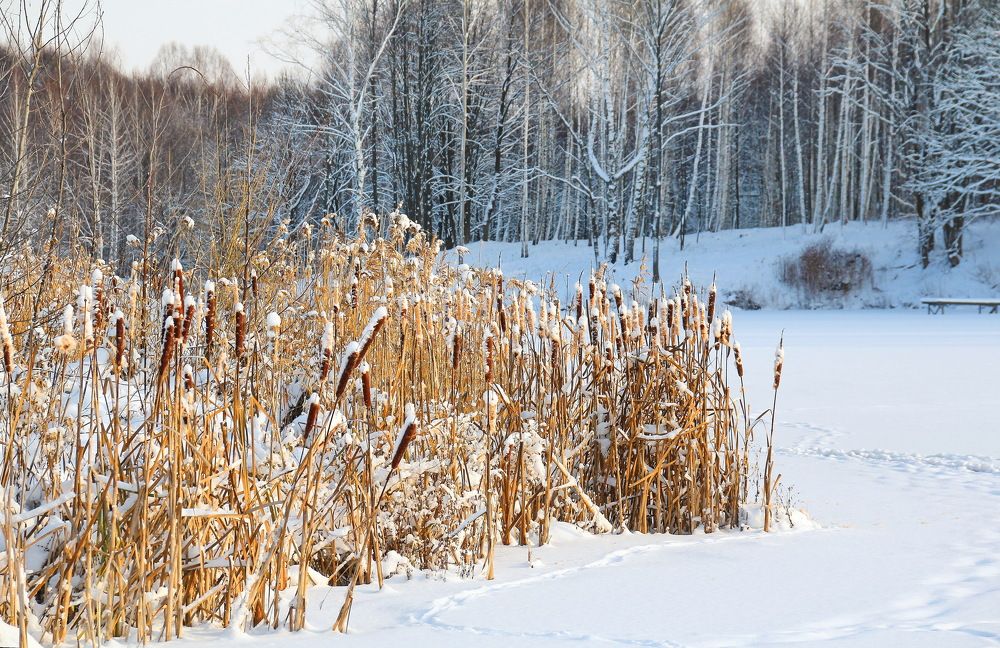 Photograph by Виталий Симоненков