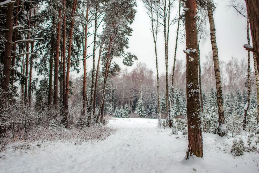 Photograph by Ирина Юрлова