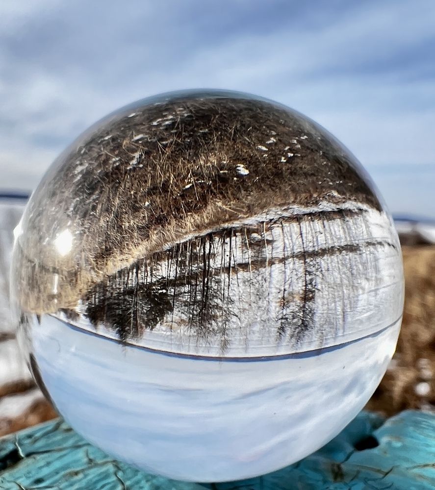 Photograph by Елена Мизина