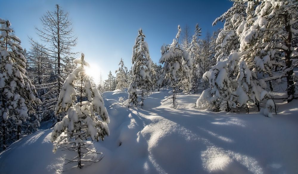 Photograph by Vladim Bormotov