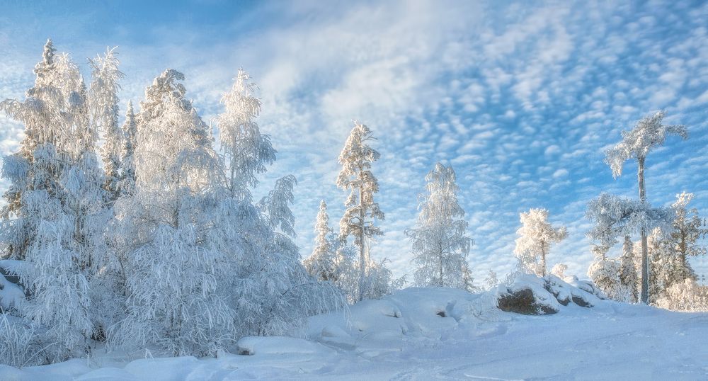 Photograph by Vladim Bormotov