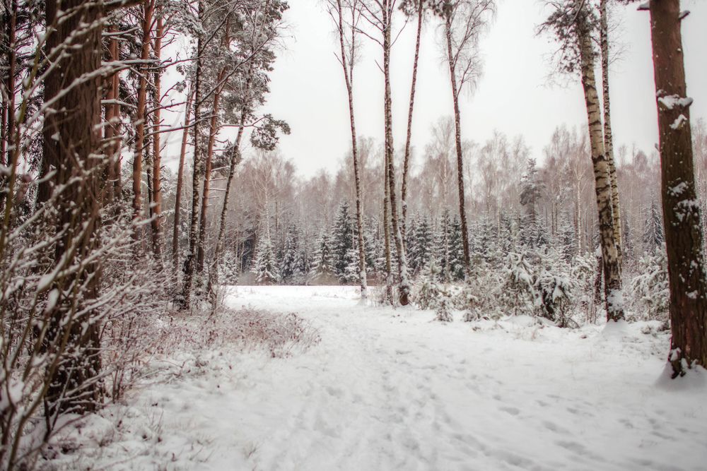 Photograph by Ирина Юрлова