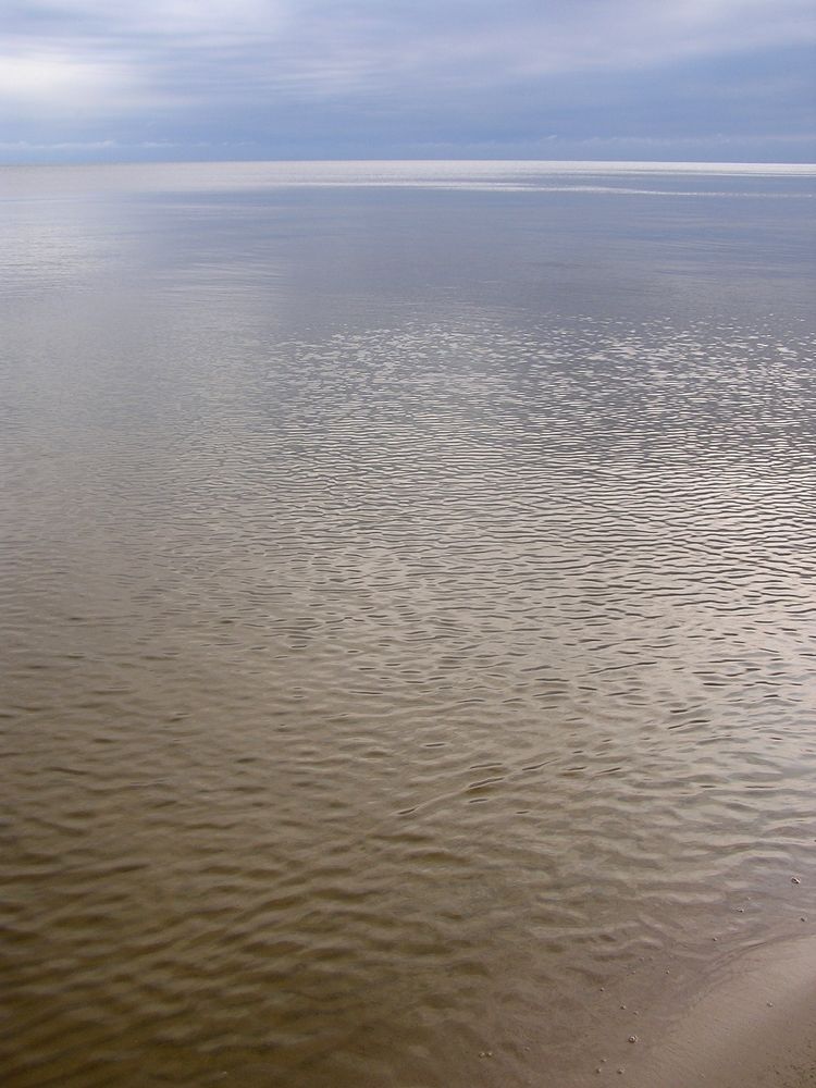 Photograph by Сергей Зубков