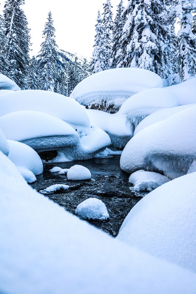 Photograph by Марина