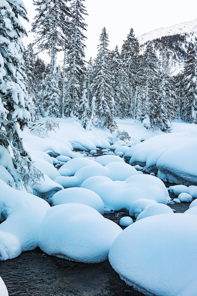 Photograph by Марина