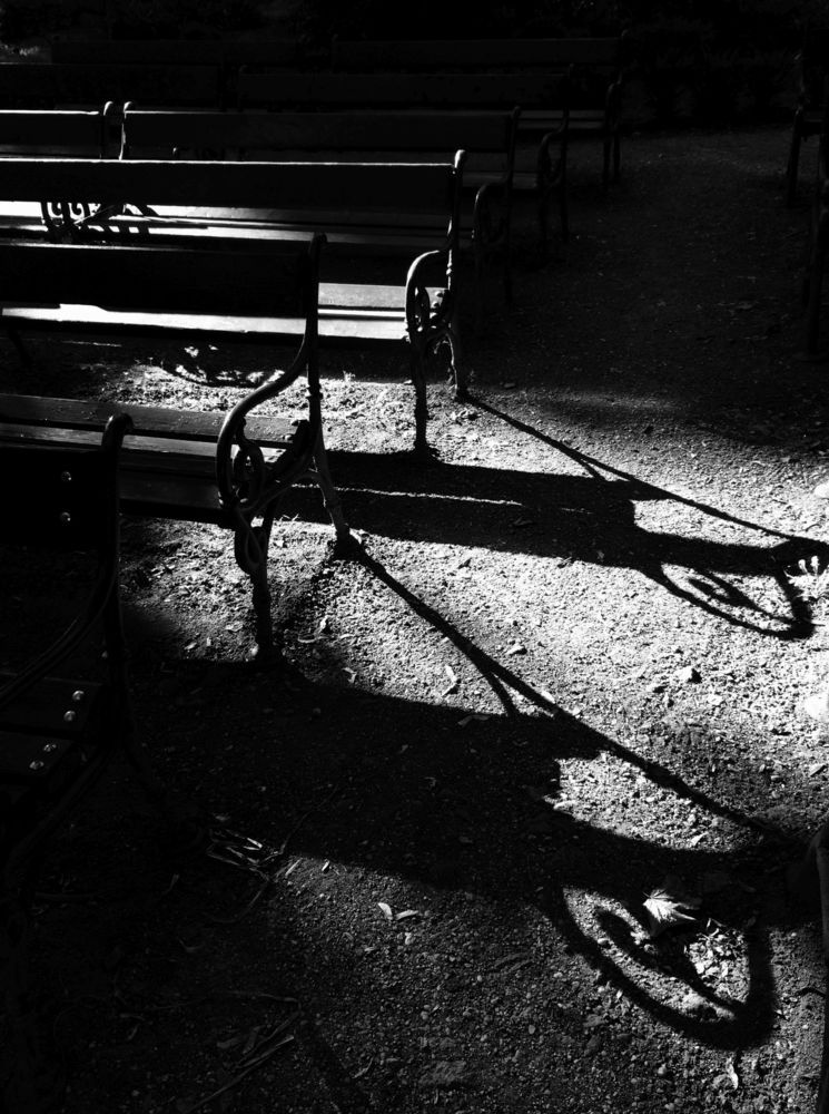 Photograph by Brigita Lehoťanová