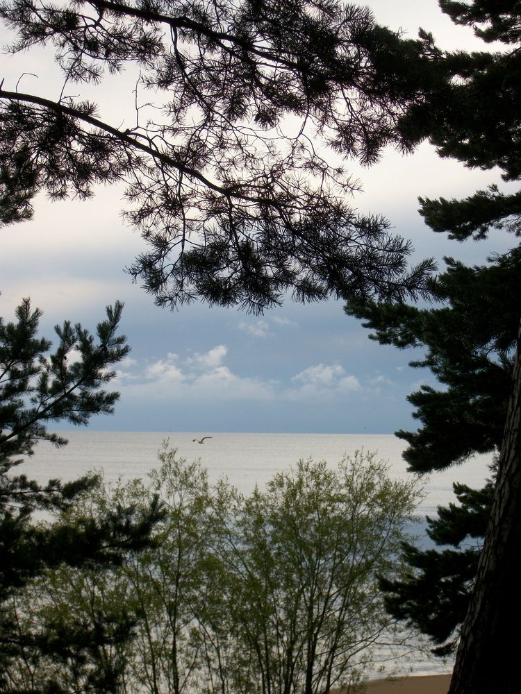 Photograph by Сергей Зубков