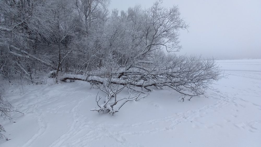 Photograph by Владимир Гречанинов