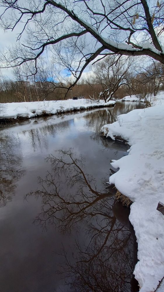 Photograph by Владимир Гречанинов