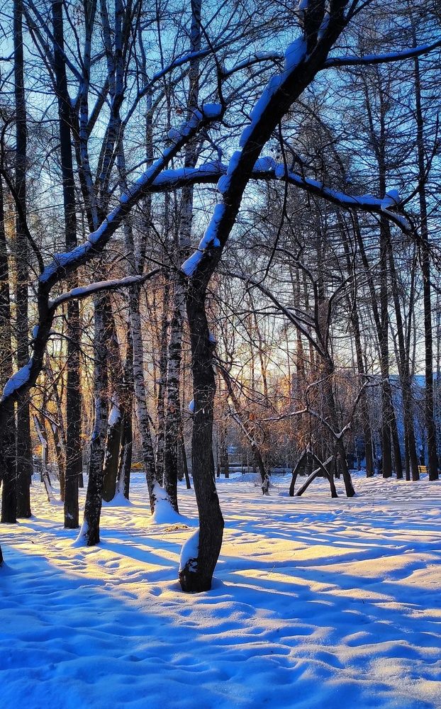 Photograph by Наталья Рау