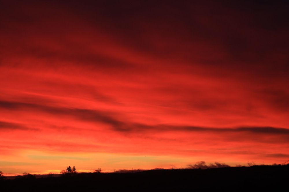 Photograph by Avril Glavin