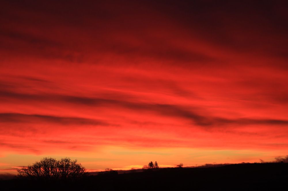 Photograph by Avril Glavin