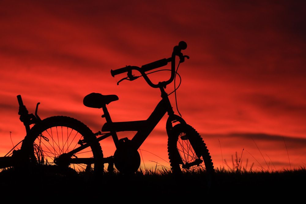 Photograph by Avril Glavin