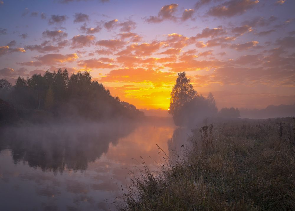 Photograph by Александр Гвоздь