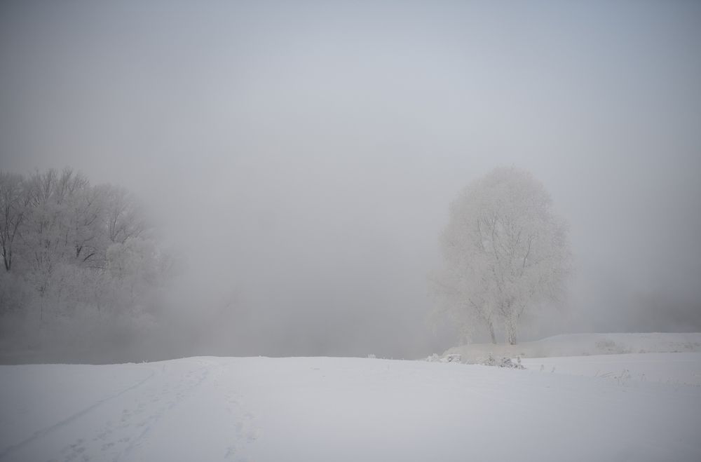 Photograph by Сергей Шерстнев