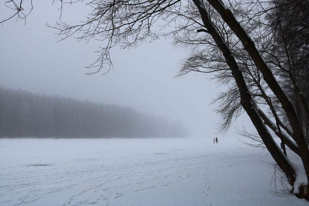 Photograph by Светлана Шуткова