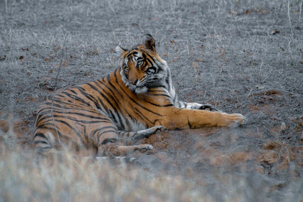 Photograph by Ishaan Shrimali