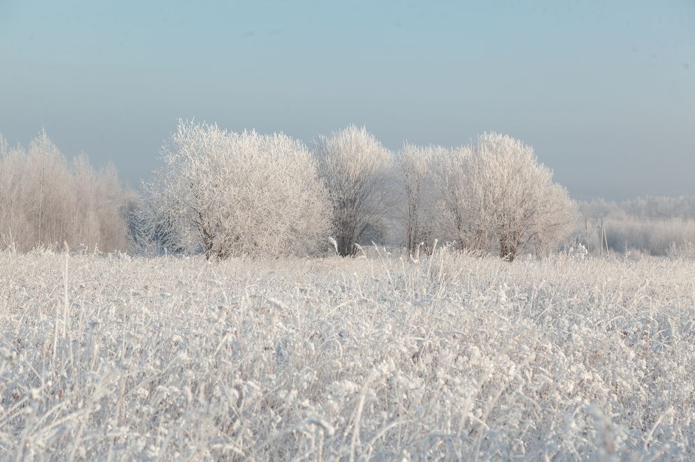 Фотография автора Наталья Ветошкина