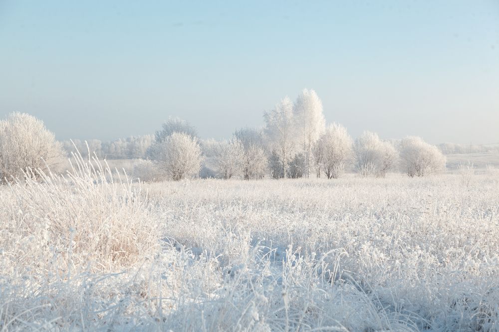 Фотография автора Наталья Ветошкина