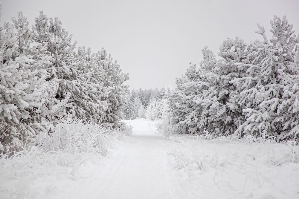 Фотография автора Наталья Ветошкина