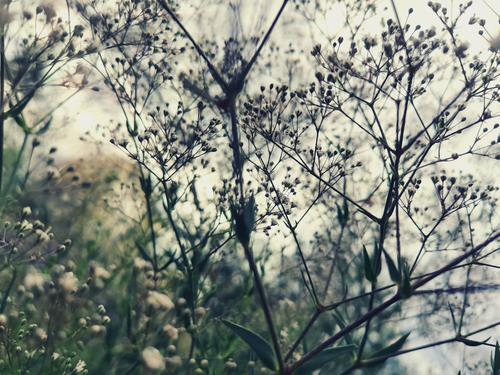 Photograph by Ксения Ламакина