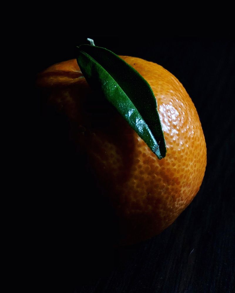 Photograph by Halina Mitsevich