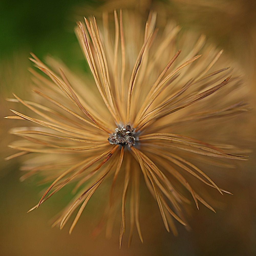 Photograph by Вячеслав Ригачин
