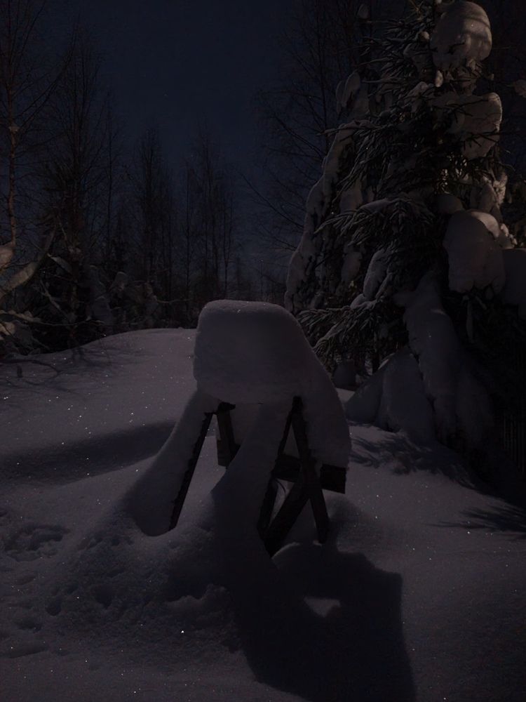 Photo #8481606