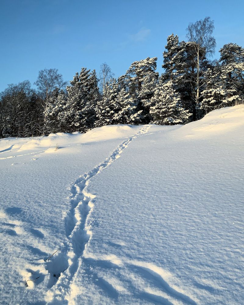 Photograph by Светлана Коган