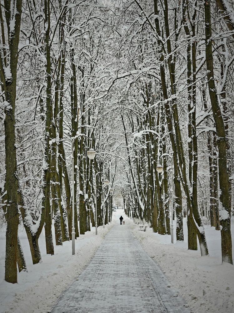 Photograph by Александра Кропивка