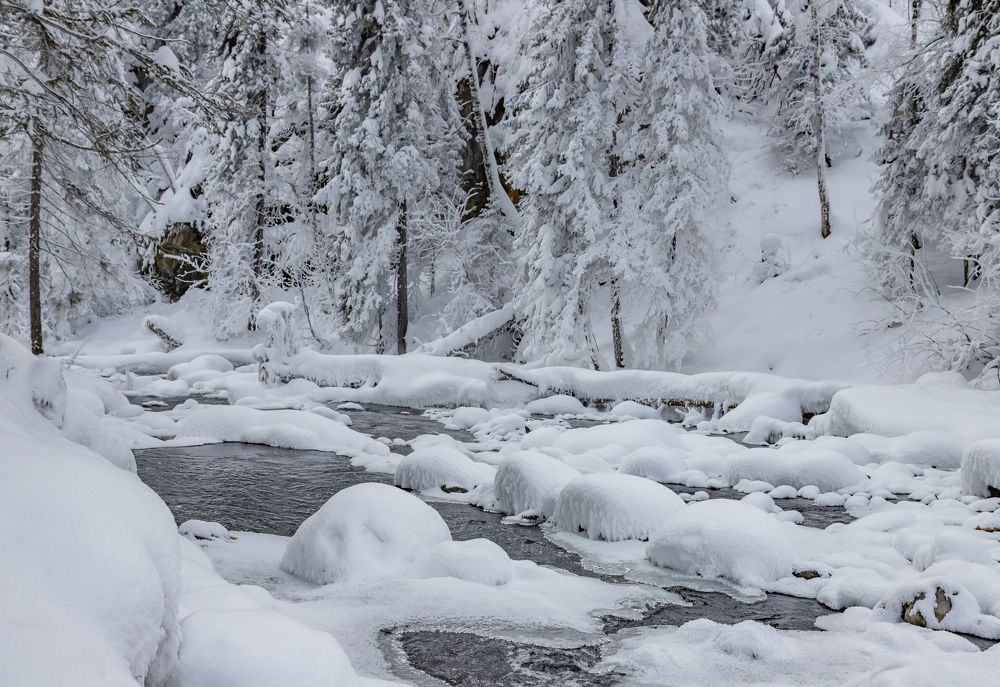 Фотография автора Andrey Pristyazhnyuk