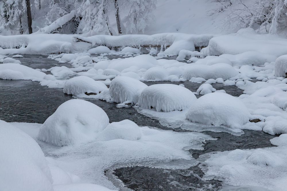 Фотография автора Andrey Pristyazhnyuk