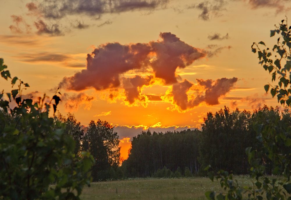Фотография автора Кухта Мария